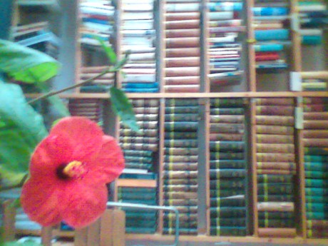 blooming study room_B